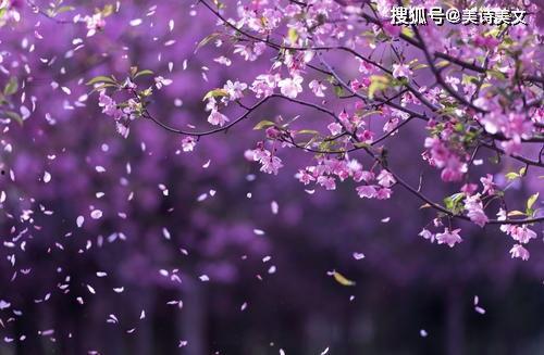 高枝难攀,挑战高枝难攀的壮志与智慧 第2张 高枝难攀,挑战高枝难攀的壮志与智慧 第2张