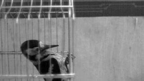 慢放镜头,捕捉生活瞬间之美 第2张 慢放镜头,捕捉生活瞬间之美 第2张