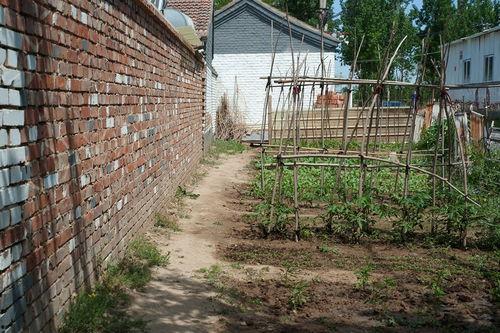 房前屋后,打造温馨家园的秘诀