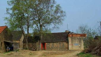 房前屋后,打造温馨家园的秘诀 第3张 房前屋后,打造温馨家园的秘诀 第3张