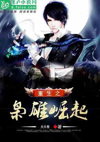 巨富枭雄（1991之枭雄崛起）（重生之工业崛起）,从枭雄崛起到工业崛起的传奇重生  第3张